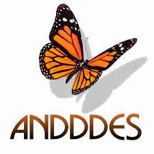 logo anddds